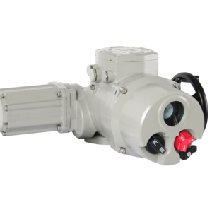 Basic Multi-Turn Electric Actuator BD-C8