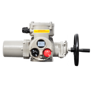 Non-Intrusive Multi-turn Electric Actuator BD300-C6