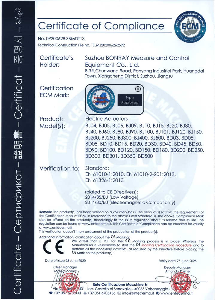 ecm logo 001